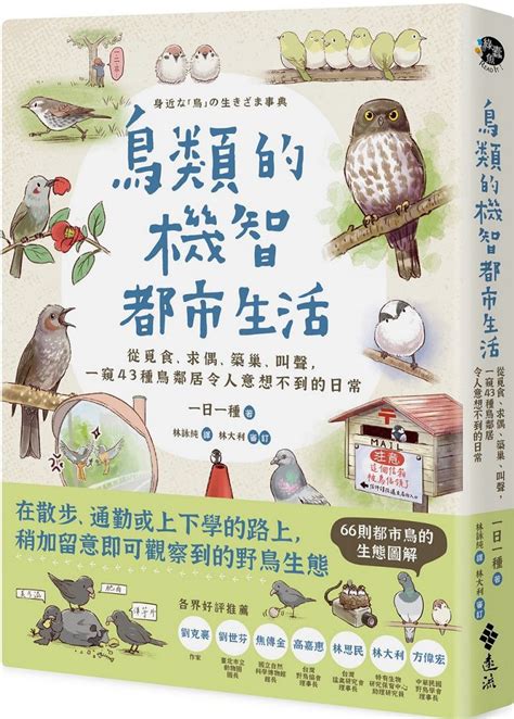 小鳥在家築巢|野鳥叫聲好滋擾？家中有野鳥築巢怎麼辦？漁護署教你。